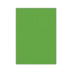 Bigpoint Keçe 50x70cm 2mm Yeşil 10'lu Paket