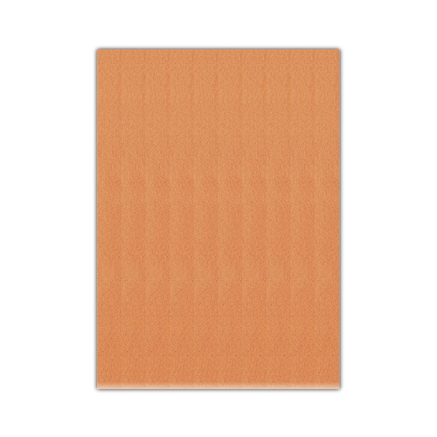 Bigpoint Keçe 50x70cm 2mm Ten Rengi 10'lu Paket