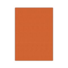 Bigpoint Eva 50x70cm Turuncu 10'lu Paket