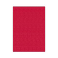 Bigpoint Eva 50x70cm Kırmızı 10'lu Paket