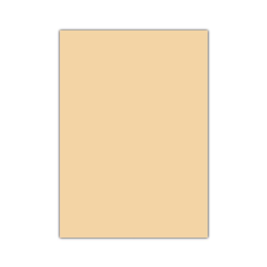 Bigpoint Eva 50x70cm Ten Rengi 10'lu Paket