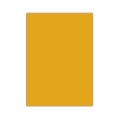 Bigpoint Fosforlu Fon Kartonu 50x70cm Turuncu 50'li Paket