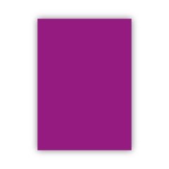 Bigpoint Fon Kartonu 50x70cm 120 Gram Mor 100'lü Paket