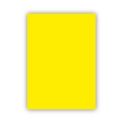 Bigpoint Fon Kartonu 50x70cm 120 Gram Limon Sarısı 100'lü Paket