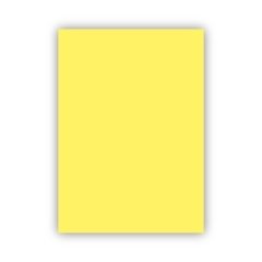 Bigpoint Fon Kartonu 50x70cm 120 Gram Sarı 100'lü