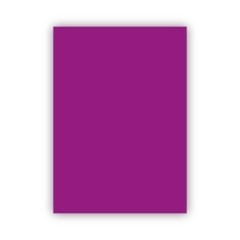 Bigpoint Fon Kartonu 50x70cm 160 Gram Mor 100'lü Paket