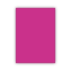 Bigpoint Fon Kartonu 50x70cm 160 Gram Lila 100'lü Paket