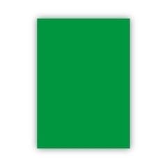 Bigpoint Fon Kartonu 50x70cm 160 Gram Koyu Yeşil 100'lü Paket