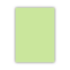 Bigpoint Fon Kartonu 50x70cm 160 Gram Yeşil 100'lü Paket (Kore)