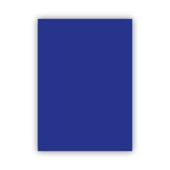 Bigpoint Fon Kartonu 50x70cm 160 Gram Lacivert 100'lü Paket