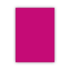 Bigpoint Fon Kartonu 50x70cm 160 Gram Fuchsia 100'lü Paket