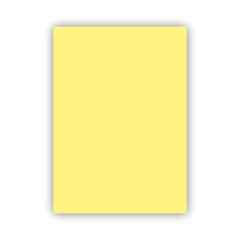 Bigpoint Fon Kartonu 50x70cm 160 Gram Sarı 100'lü Paket (Kore)