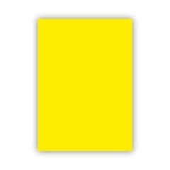 Bigpoint Fon Kartonu 50x70cm 160 Gram Limon Sarısı 100'lü Paket
