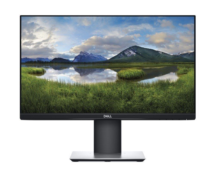 Dell 21.5'' P2219H 5ms FHD Pivot Vesa IPS