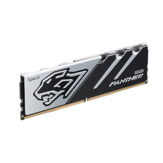 Apacer Panther 16GB (1x16GB) 6400MHz CL32 DDR5 Gaming Ram (AH5U16G64C5527BAA-1)