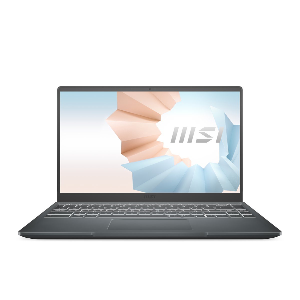 MSI B11SBL-696XTR İ5-1155G7 8GB 256GB SSD 2GB MX450 14'' FDOS