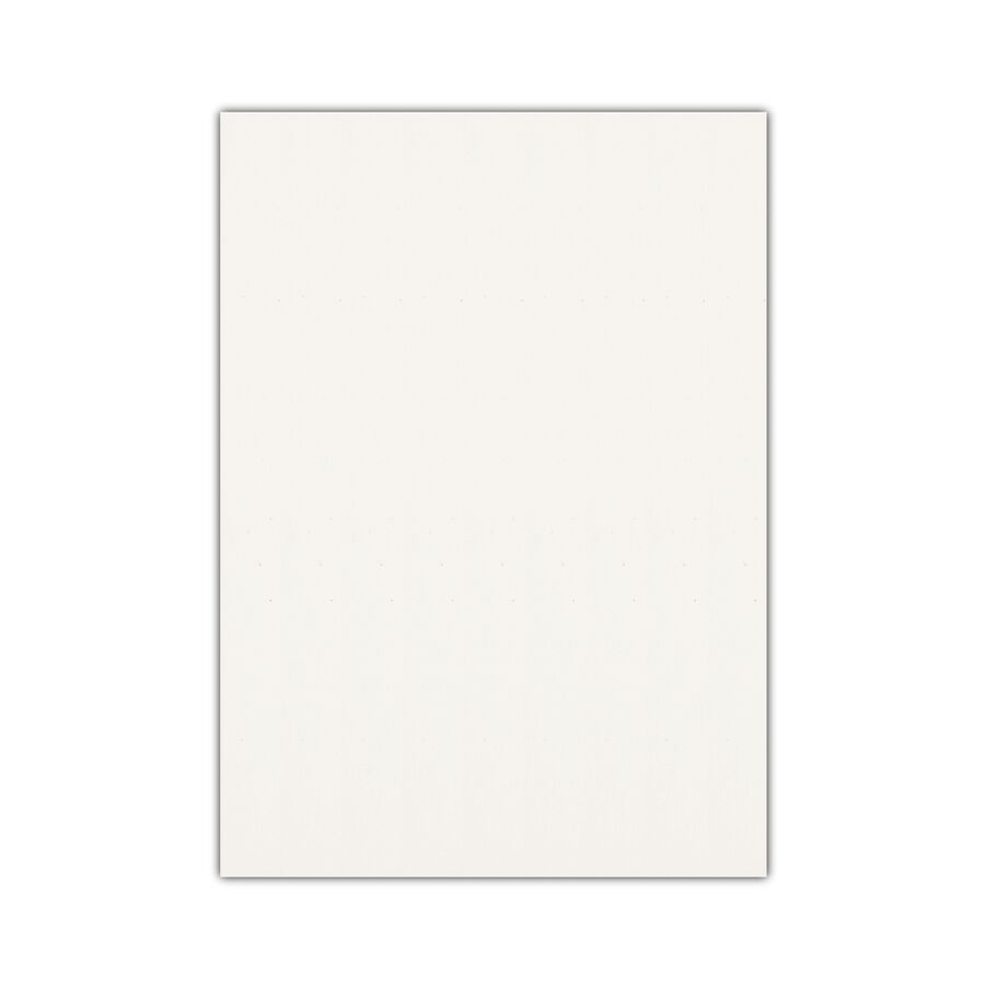 Bigpoint Eva 50x70cm Beyaz 10'lu Paket