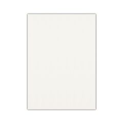 Bigpoint Eva 50x70cm Beyaz 10'lu Paket