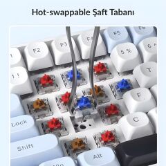 Aula S100 Pro Red Switch Hot Swap RGB Mekanik Klavye Bluetooth Kablolu Kablosuz Bağlantı Mavi