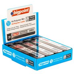 Bigpoint Kalem Ucu 0.3mm HB 75mm 24'lü Tüp 12'li Kutu
