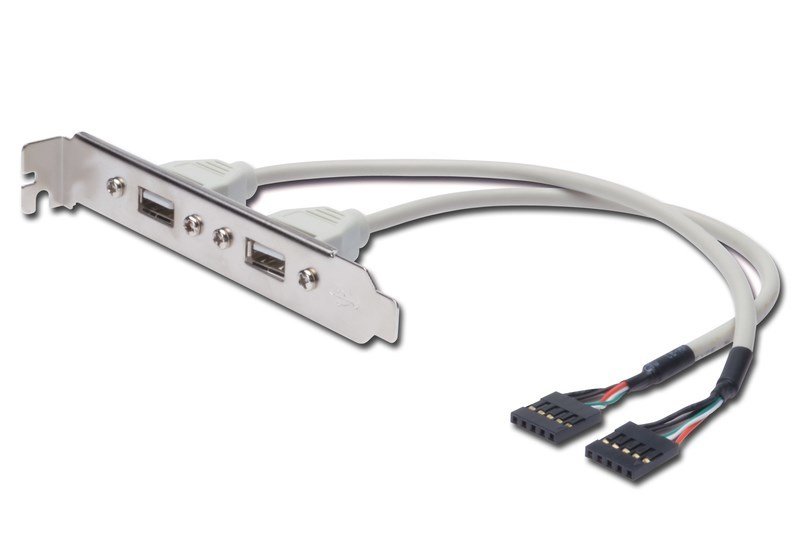 Digitus AK-300301-002-E IDC-2xUSB2.0 0.25m Çevirci