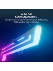 Gamepower HeatSync Siyah ARGB Ekran Kartı Desteği