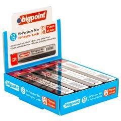 Bigpoint Kalem Ucu 0.9mm 2B 75mm 24'lü Tüp 12'li Kutu