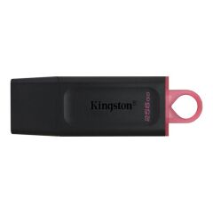 Kingston 256GB Exodia Usb 3.2 Gen1 DTX/256GB