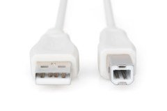 Digitus AK-300105-030-E USB2.0 Zırhlı Kablo (3m)
