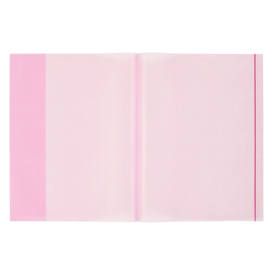 Bigpoint A4 Hazır Defter Kabı 5'li Paket Şeffaf Kırmızı 25'li Kutu