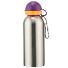Bigpoint Çelik Matara Kapaklı 450 ml 12'li Kutu