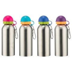 Bigpoint Çelik Matara Kapaklı 450 ml 12'li Kutu
